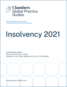 Read more about the article Shalakany is delighted to share its contribution to the latest edition of the Chambers Insolvency Global Practice Guide