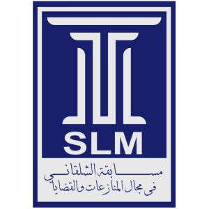 Read more about the article SLM 2024