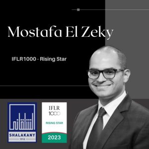 Read more about the article IFLR1000 Leading Lawyer 2023