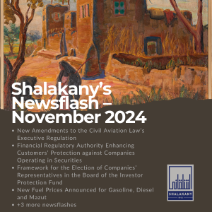 Read more about the article Shalakany’s Newsflash – November 2024