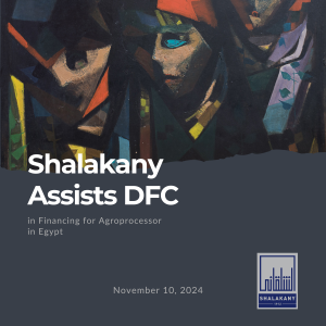 Read more about the article Shalakany Assists DFC in Financing for Agroprocessor in Egypt