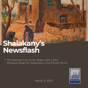 Read more about the article Shalakany’s Newsflash 03-03-2025