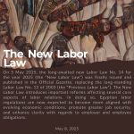 The New Labor Law